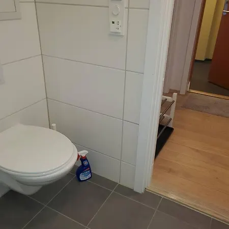 Practical Flat Connected With Garden