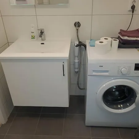 Practical Flat Connected With Garden