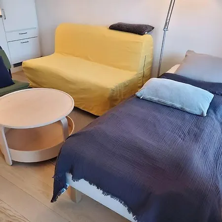 Practical Flat Connected With Garden